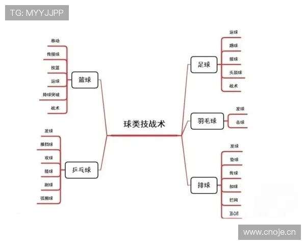篮球底线发球规则解析：发球区域与时间限制
